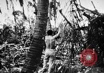 Immagine di Stati Uniti Marines Isole Palau, 1944, secondo 55 filmato di repertorio 65675069632