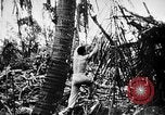 Immagine di Stati Uniti Marines Isole Palau, 1944, secondo 56 filmato di repertorio 65675069632