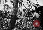 Immagine di Stati Uniti Marines Isole Palau, 1944, secondo 57 filmato di repertorio 65675069632
