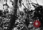 Immagine di Stati Uniti Marines Isole Palau, 1944, secondo 58 filmato di repertorio 65675069632