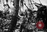 Immagine di Stati Uniti Marines Isole Palau, 1944, secondo 59 filmato di repertorio 65675069632