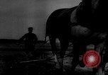 Image of Potsdam Conference Berlin Germany, 1945, second 12 stock footage video 65675069649