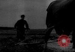 Image of Potsdam Conference Berlin Germany, 1945, second 13 stock footage video 65675069649