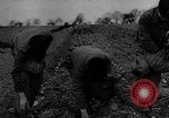 Image of Potsdam Conference Berlin Germany, 1945, second 14 stock footage video 65675069649