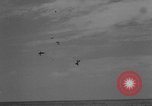 Image of aircraft collide Bermuda Island, 1964, second 29 stock footage video 65675069652