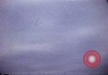 Image of Nimitz Day Washington DC USA, 1945, second 3 stock footage video 65675069655