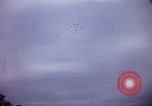 Image of Nimitz Day Washington DC USA, 1945, second 5 stock footage video 65675069655