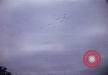 Image of Nimitz Day Washington DC USA, 1945, second 6 stock footage video 65675069655