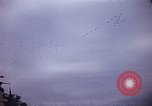 Image of Nimitz Day Washington DC USA, 1945, second 8 stock footage video 65675069655