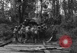 Image of Karen troops Chaungtha Burma, 1944, second 4 stock footage video 65675069659