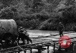 Image of Karen troops Chaungtha Burma, 1944, second 40 stock footage video 65675069659