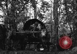 Image of Karen troops Chaungtha Burma, 1944, second 49 stock footage video 65675069659