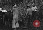 Image of Karen troops Chaungtha Burma, 1944, second 50 stock footage video 65675069659