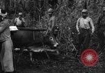 Image of Karen troops Chaungtha Burma, 1944, second 55 stock footage video 65675069659
