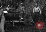 Image of Karen troops Chaungtha Burma, 1944, second 56 stock footage video 65675069659