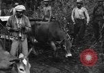 Image of Karen troops Chaungtha Burma, 1944, second 57 stock footage video 65675069659