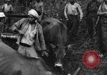 Image of Karen troops Chaungtha Burma, 1944, second 58 stock footage video 65675069659
