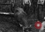 Image of Karen troops Chaungtha Burma, 1944, second 60 stock footage video 65675069659
