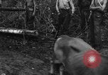 Image of Karen troops Chaungtha Burma, 1944, second 61 stock footage video 65675069659