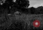 Image of Karen troops in World War 2 Chaungtha Burma, 1944, second 19 stock footage video 65675069660