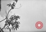 Image of Karen troops in World War 2 Chaungtha Burma, 1944, second 27 stock footage video 65675069660
