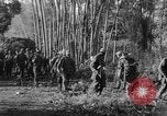 Immagine di I guerriglieri di etnia Karen Chaungtha Birmania, 1945, secondo 4 filmato di repertorio 65675069661