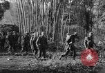 Immagine di I guerriglieri di etnia Karen Chaungtha Birmania, 1945, secondo 5 filmato di repertorio 65675069661