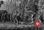Immagine di I guerriglieri di etnia Karen Chaungtha Birmania, 1945, secondo 6 filmato di repertorio 65675069661