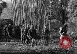 Immagine di I guerriglieri di etnia Karen Chaungtha Birmania, 1945, secondo 7 filmato di repertorio 65675069661