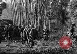 Immagine di I guerriglieri di etnia Karen Chaungtha Birmania, 1945, secondo 8 filmato di repertorio 65675069661