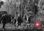 Immagine di I guerriglieri di etnia Karen Chaungtha Birmania, 1945, secondo 10 filmato di repertorio 65675069661