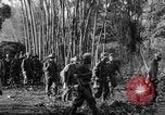 Immagine di I guerriglieri di etnia Karen Chaungtha Birmania, 1945, secondo 12 filmato di repertorio 65675069661