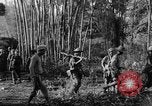 Immagine di I guerriglieri di etnia Karen Chaungtha Birmania, 1945, secondo 15 filmato di repertorio 65675069661
