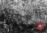 Immagine di I guerriglieri di etnia Karen Chaungtha Birmania, 1945, secondo 19 filmato di repertorio 65675069661
