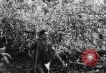 Immagine di I guerriglieri di etnia Karen Chaungtha Birmania, 1945, secondo 28 filmato di repertorio 65675069661