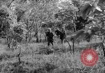 Immagine di I guerriglieri di etnia Karen Chaungtha Birmania, 1945, secondo 31 filmato di repertorio 65675069661
