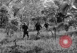Immagine di I guerriglieri di etnia Karen Chaungtha Birmania, 1945, secondo 33 filmato di repertorio 65675069661