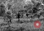 Immagine di I guerriglieri di etnia Karen Chaungtha Birmania, 1945, secondo 34 filmato di repertorio 65675069661