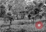 Immagine di I guerriglieri di etnia Karen Chaungtha Birmania, 1945, secondo 36 filmato di repertorio 65675069661