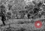 Immagine di I guerriglieri di etnia Karen Chaungtha Birmania, 1945, secondo 37 filmato di repertorio 65675069661