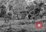 Immagine di I guerriglieri di etnia Karen Chaungtha Birmania, 1945, secondo 38 filmato di repertorio 65675069661