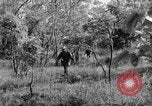 Immagine di I guerriglieri di etnia Karen Chaungtha Birmania, 1945, secondo 41 filmato di repertorio 65675069661