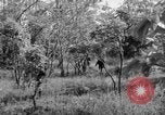 Immagine di I guerriglieri di etnia Karen Chaungtha Birmania, 1945, secondo 43 filmato di repertorio 65675069661