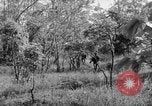 Immagine di I guerriglieri di etnia Karen Chaungtha Birmania, 1945, secondo 45 filmato di repertorio 65675069661