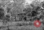 Immagine di I guerriglieri di etnia Karen Chaungtha Birmania, 1945, secondo 49 filmato di repertorio 65675069661