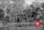 Immagine di I guerriglieri di etnia Karen Chaungtha Birmania, 1945, secondo 51 filmato di repertorio 65675069661