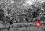 Immagine di I guerriglieri di etnia Karen Chaungtha Birmania, 1945, secondo 53 filmato di repertorio 65675069661
