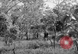 Immagine di I guerriglieri di etnia Karen Chaungtha Birmania, 1945, secondo 55 filmato di repertorio 65675069661