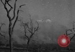 Standbild britische Truppen Birma, 1945, aus Sekunde 58 historischem Filmmaterial Videoclip 65675069663