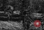 Image Punjab troupes la Birmanie, 1945, de la seconde 12 séquences d'archives historiques vidéo 65675069664